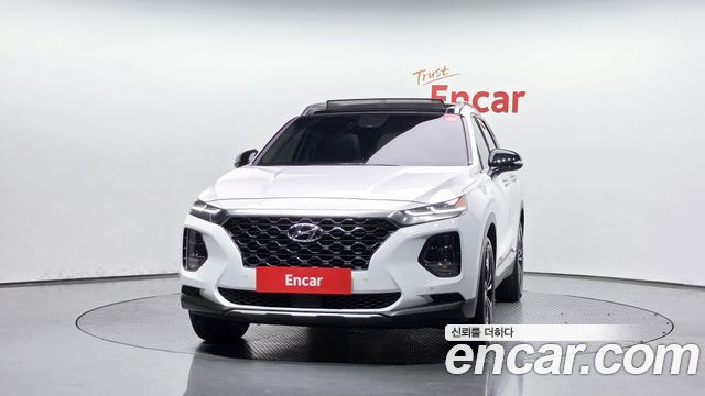 Hyundai Santa Fe (TM) Diesel 2.0 2WD Exclusive Special 2019 — фото 3