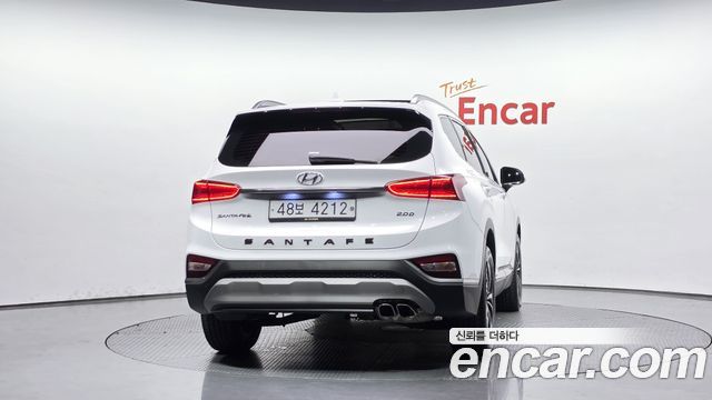 Hyundai Santa Fe (TM) Diesel 2.0 2WD Exclusive Special 2019 — фото 4