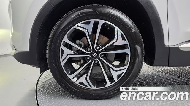 Hyundai Santa Fe (TM) Diesel 2.0 2WD Exclusive Special 2019 — фото 5