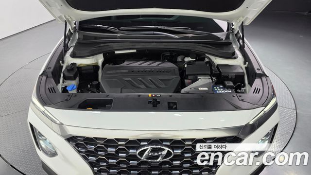 Hyundai Santa Fe (TM) Diesel 2.0 2WD Exclusive Special 2019 — фото 6