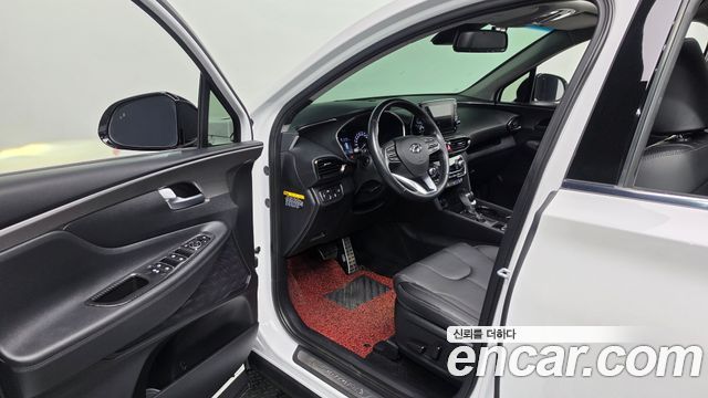 Hyundai Santa Fe (TM) Diesel 2.0 2WD Exclusive Special 2019 — фото 10