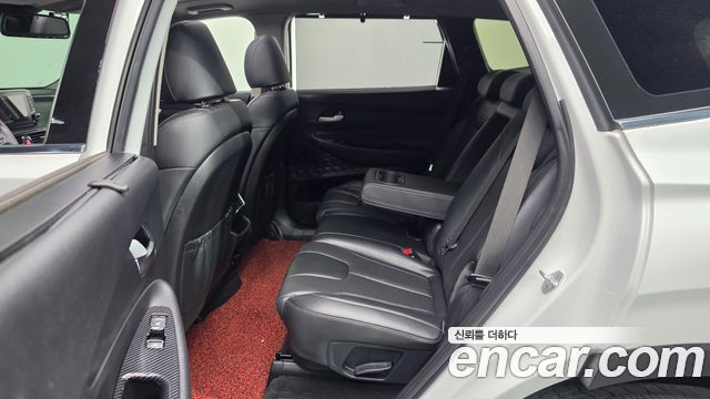 Hyundai Santa Fe (TM) Diesel 2.0 2WD Exclusive Special 2019 — фото 15