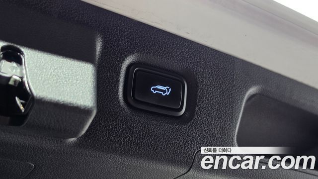Hyundai Santa Fe (TM) Diesel 2.0 2WD Exclusive Special 2019 — фото 21