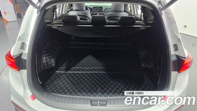 Hyundai Santa Fe (TM) Diesel 2.0 2WD Exclusive Special 2019 — фото 24