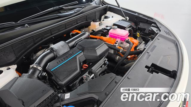 Kia Sorento (IV) HEV 1.6 2WD Gravity 2023 — фото 6