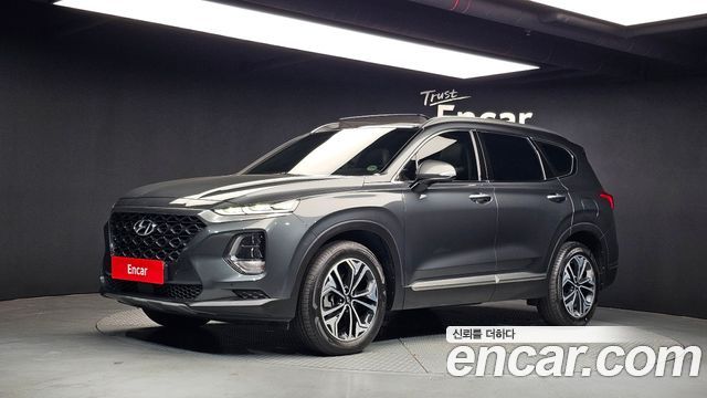 Hyundai Santa Fe (TM) Diesel 2.0 2WD Exclusive Special 2019 — фото 1