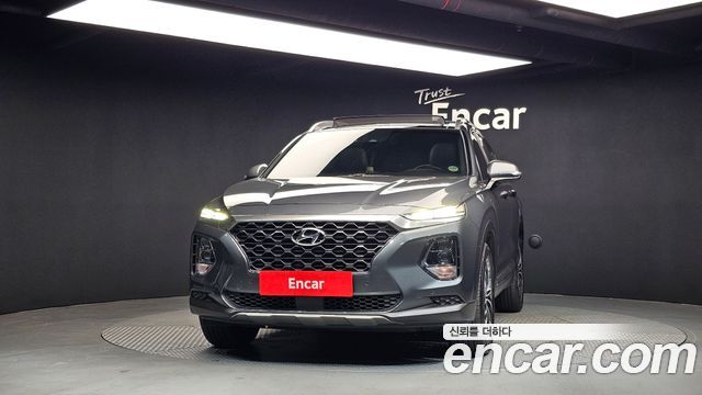 Hyundai Santa Fe (TM) Diesel 2.0 2WD Exclusive Special 2019 — фото 3