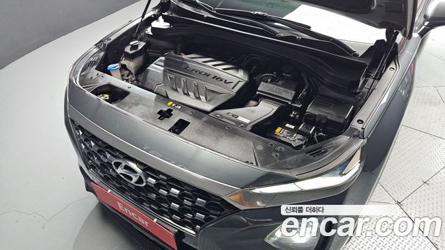 Hyundai Santa Fe (TM) Diesel 2.0 2WD Exclusive Special 2019 — фото 6