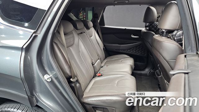 Hyundai Santa Fe (TM) Diesel 2.0 2WD Exclusive Special 2019 — фото 12