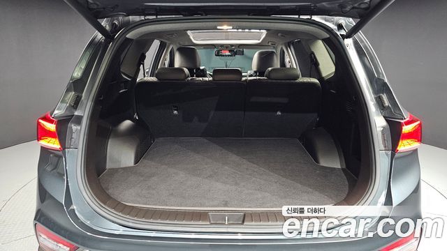 Hyundai Santa Fe (TM) Diesel 2.0 2WD Exclusive Special 2019 — фото 20