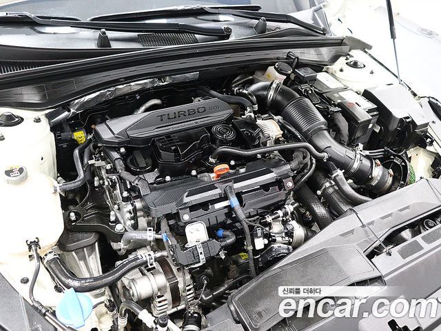 Kia K5 (III) 1.6 Turbo Signature 2022 — фото 6