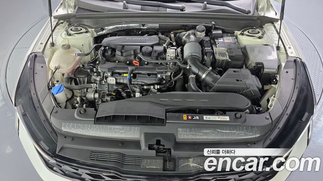 Kia K5 (III) 1.6 Turbo Prestige 2024 — фото 6
