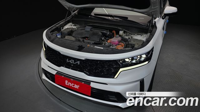 Kia Sorento (IV) HEV 1.6 2WD Noblesse 2023 — фото 6