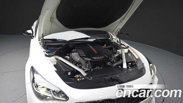 Kia Stinger 3.3 Turbo AWD GT 2020 — фото 6