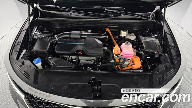 Kia Sorento (IV) HEV 1.6 2WD Noblesse 2022 — фото 6