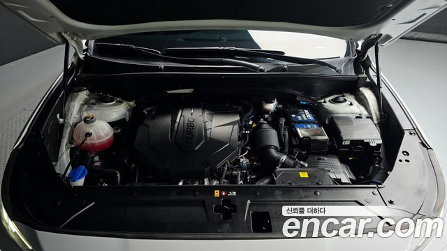 Hyundai Santa Fe Diesel 2.2 2WD Exclusive 2022 — фото 6