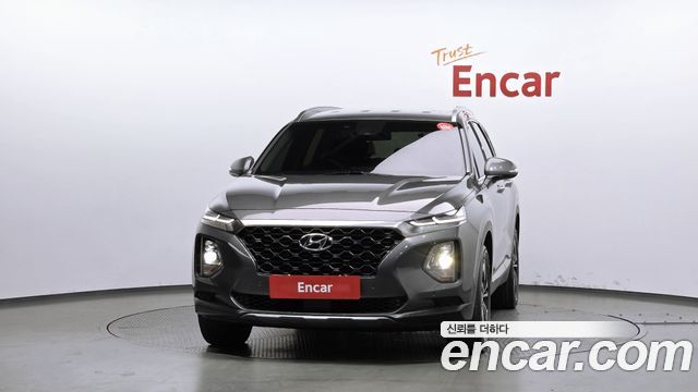 Hyundai Santa Fe (TM) Diesel 2.0 2WD Exclusive Special 2019 — фото 3
