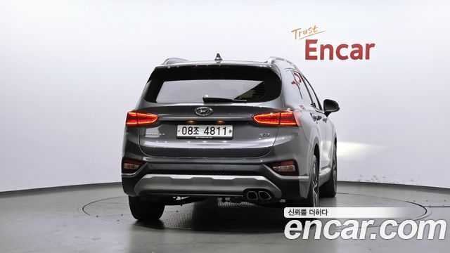 Hyundai Santa Fe (TM) Diesel 2.0 2WD Exclusive Special 2019 — фото 4