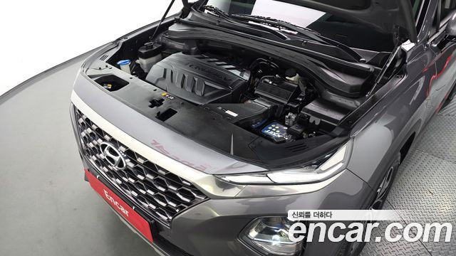 Hyundai Santa Fe (TM) Diesel 2.0 2WD Exclusive Special 2019 — фото 6