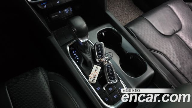 Hyundai Santa Fe (TM) Diesel 2.0 2WD Exclusive Special 2019 — фото 9