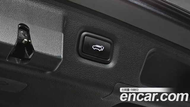 Hyundai Santa Fe (TM) Diesel 2.0 2WD Exclusive Special 2019 — фото 19