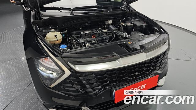 Kia Sportage (V) Gasoline 1.6 Turbo 2WD Nobleless 2023 — фото 6