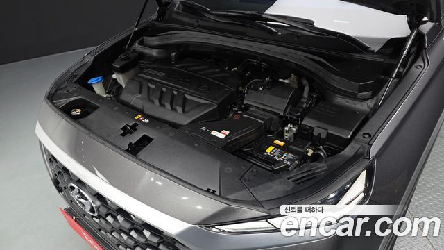 Hyundai Santa Fe (TM) Diesel 2,0 4WD Premium 2019 — фото 6