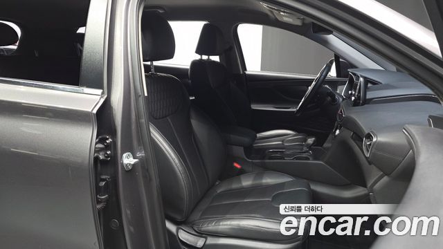 Hyundai Santa Fe (TM) Diesel 2,0 4WD Premium 2019 — фото 11