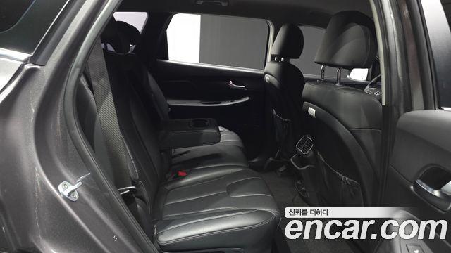 Hyundai Santa Fe (TM) Diesel 2,0 4WD Premium 2019 — фото 12