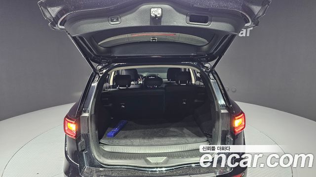 Renault Korea QM6 2.0 LPe RE Signature 2WD 2020 — фото 33