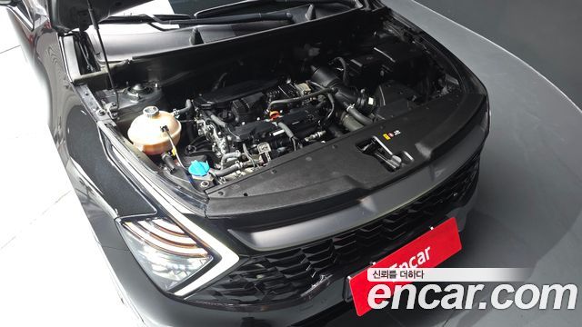 Kia Sportage (V) Gasoline 1.6 Turbo 4WD Nobleless 2023 — фото 6