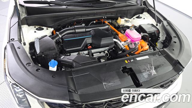 Kia Sorento (IV) HEV 1.6 4WD Signature 2025 — фото 6