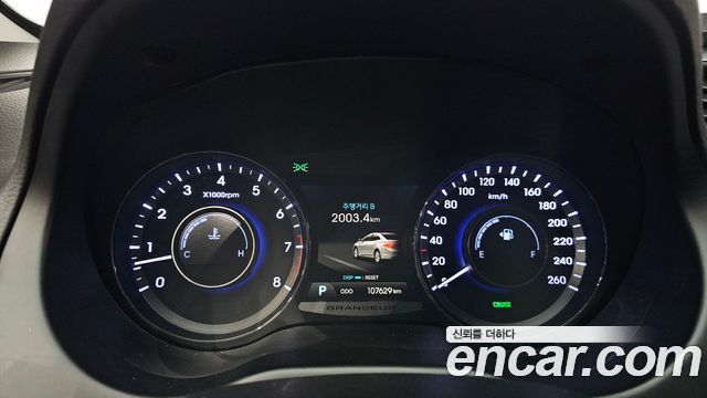 Hyundai Grandeur (HG) LPG HG300 Executive 2012 — фото 8