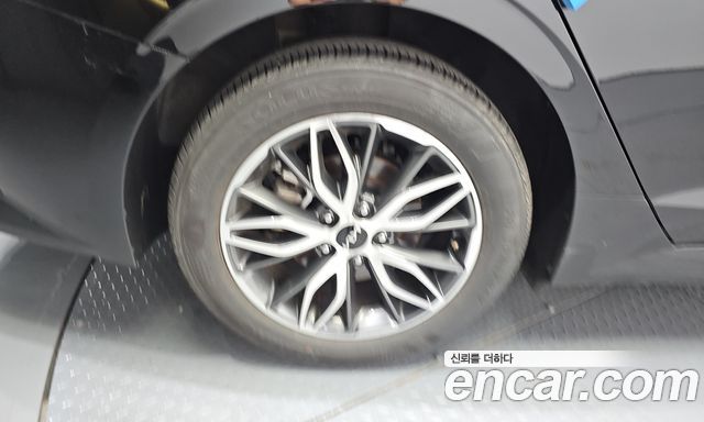 Kia K5 (III) 2.0 Trendy 2023 — фото 5