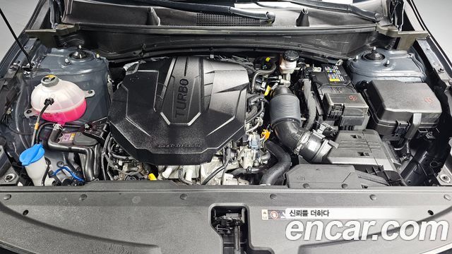 Kia Sportage (V) Diesel 2.0 2WD Trendy 2023 — фото 6