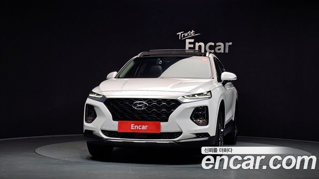 Hyundai Santa Fe (TM) Diesel 2.2 2WD Exclusive 2019 — фото 3