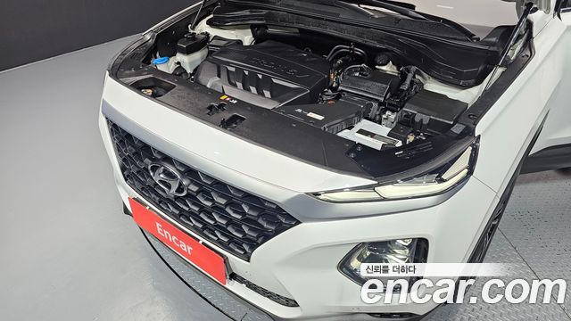 Hyundai Santa Fe (TM) Diesel 2.2 2WD Exclusive 2019 — фото 6