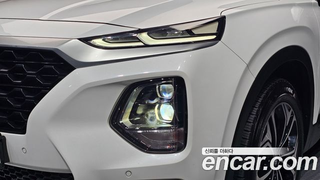 Hyundai Santa Fe (TM) Diesel 2.2 2WD Exclusive 2019 — фото 22