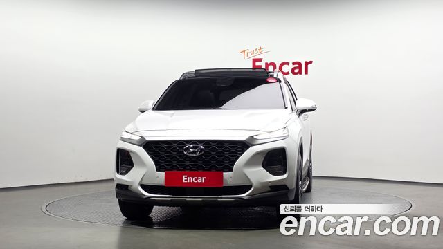 Hyundai Santa Fe (TM) Diesel 2.0 2WD Exclusive 2019 — фото 3
