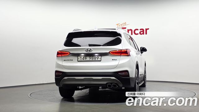 Hyundai Santa Fe (TM) Diesel 2.0 2WD Exclusive 2019 — фото 4