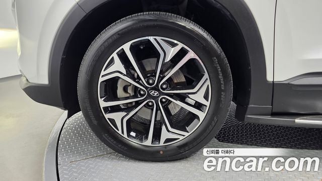 Hyundai Santa Fe (TM) Diesel 2.0 2WD Exclusive 2019 — фото 5
