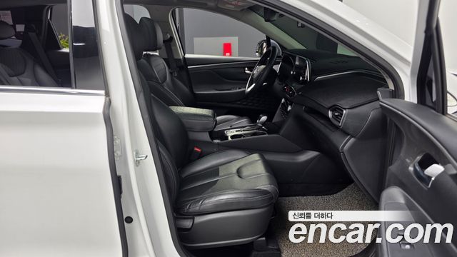 Hyundai Santa Fe (TM) Diesel 2.0 2WD Exclusive 2019 — фото 11