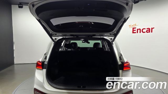 Hyundai Santa Fe (TM) Diesel 2.0 2WD Exclusive 2019 — фото 20