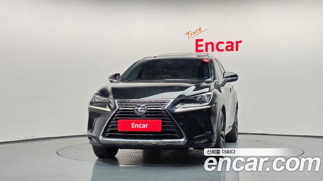 Lexus NX300h Executive 2020 — фото 3
