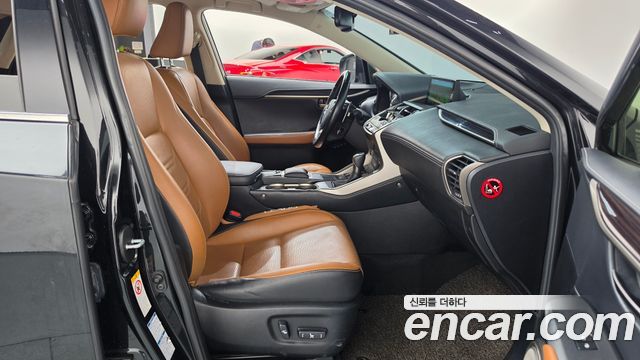 Lexus NX300h Executive 2020 — фото 11