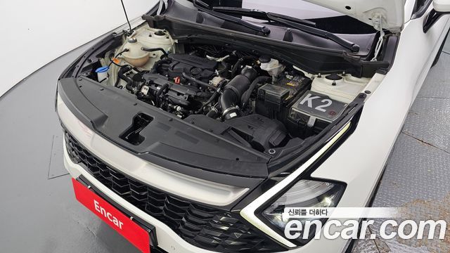 Kia Sportage (V) Gasoline 1.6 Turbo 2WD Nobleless 2023 — фото 6