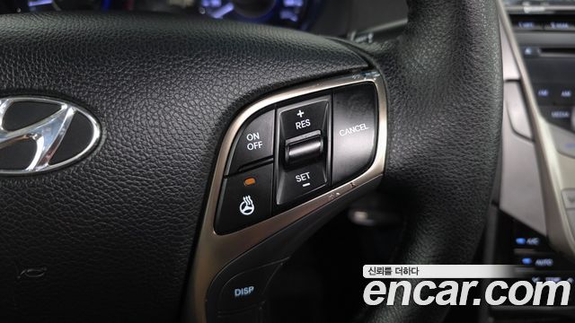 Hyundai Grandeur (HG) LPG HG300 Executive 2012 — фото 21