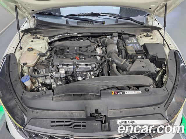Kia K5 (III) 1.6 Turbo Noblesse 2022 — фото 6