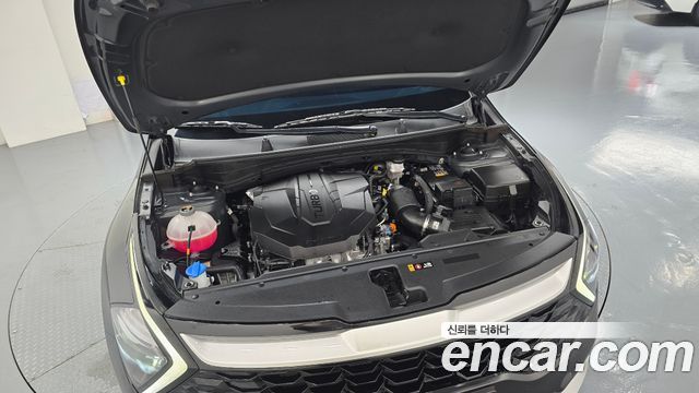 Kia Sportage (V) Diesel 2.0 2WD Trendy 2023 — фото 6