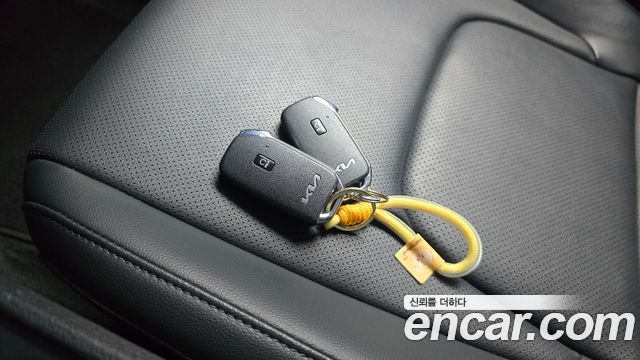 Kia Sportage (V) Diesel 2.0 2WD Trendy 2023 — фото 15
